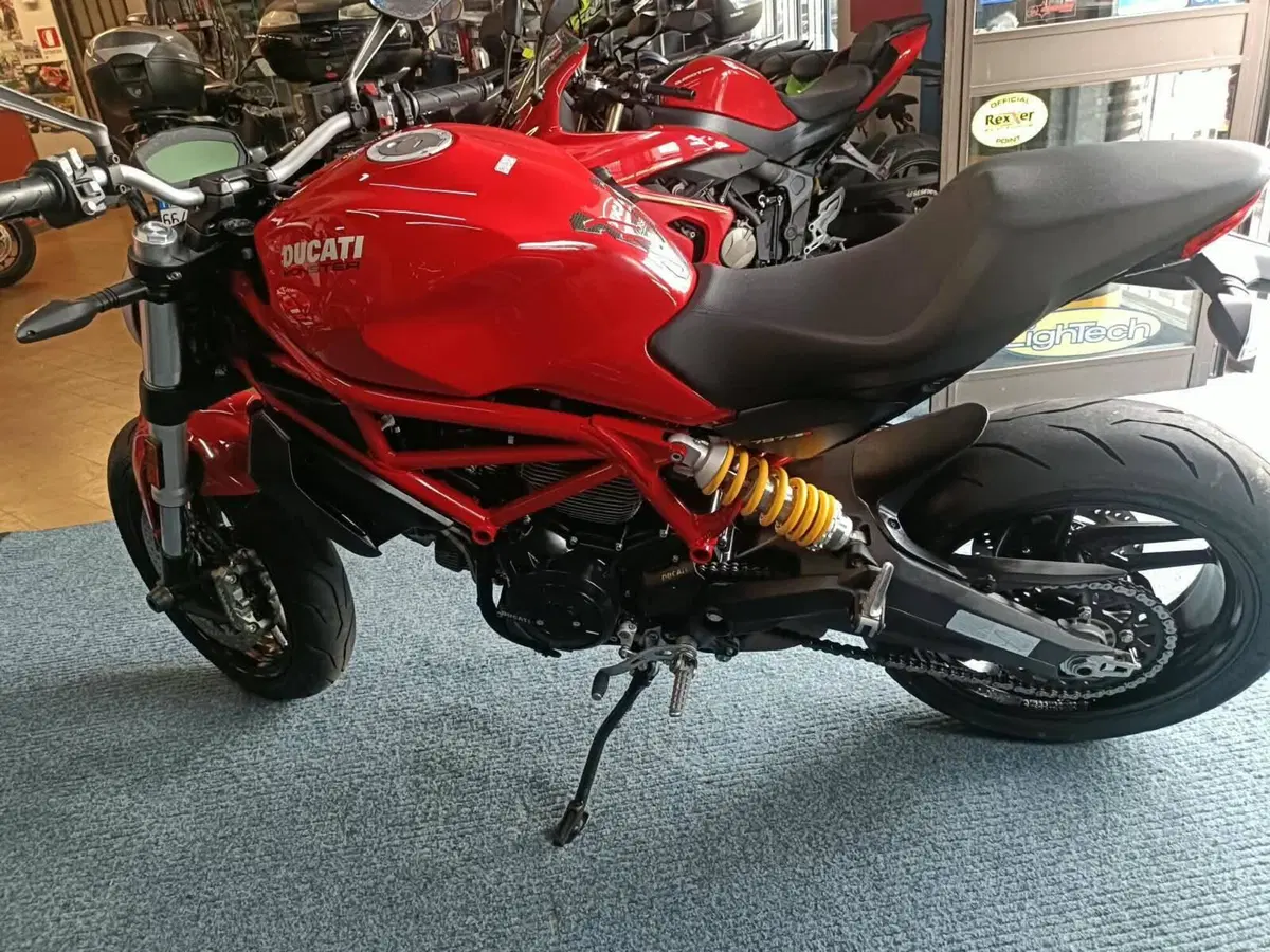 Ducati Monster 797 (2017 - 18) (7)
