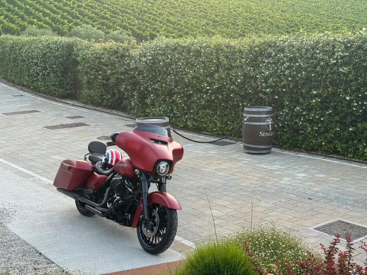 Harley-Davidson 114 Street Glide Special (2019 - 20) - FLHXS (15)