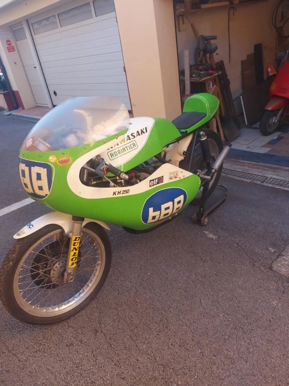 Kawasaki 250cc  (2)