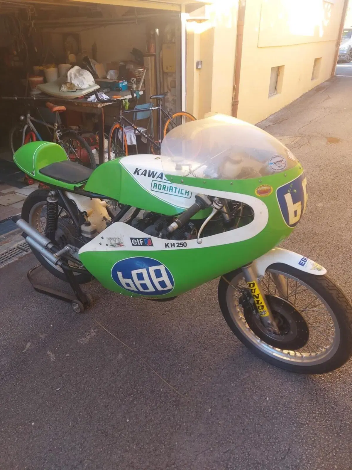 Kawasaki 250cc  (3)