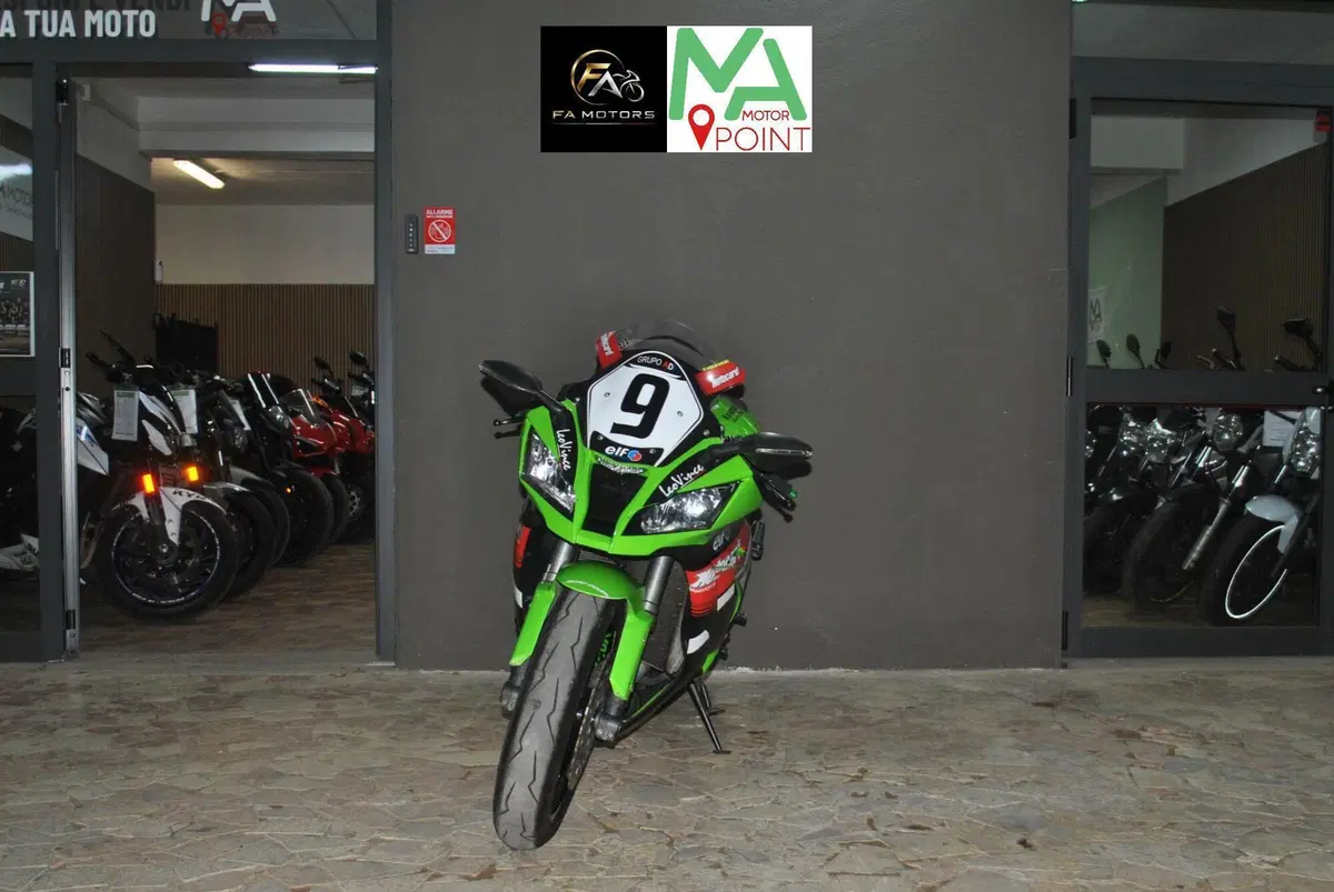 Kawasaki Ninja 1000 ZX-10R (2011 - 15) (2)