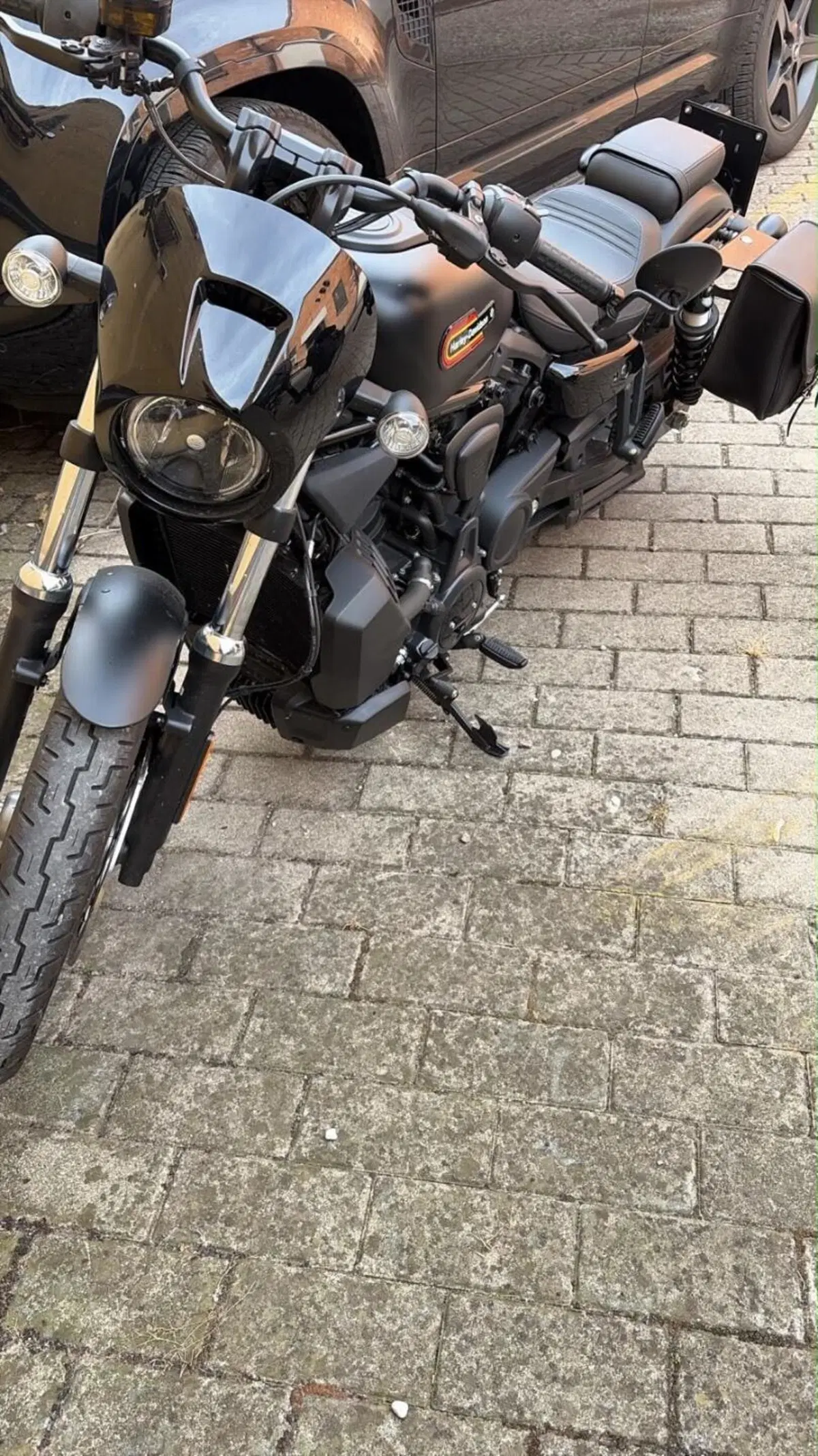 Harley-Davidson Nightster Special (2023 - 26) (2)