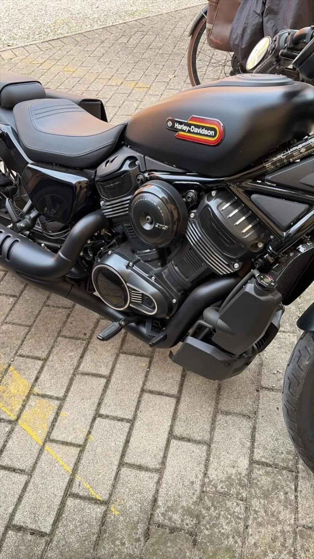 Harley-Davidson Nightster Special (2023 - 26) (3)
