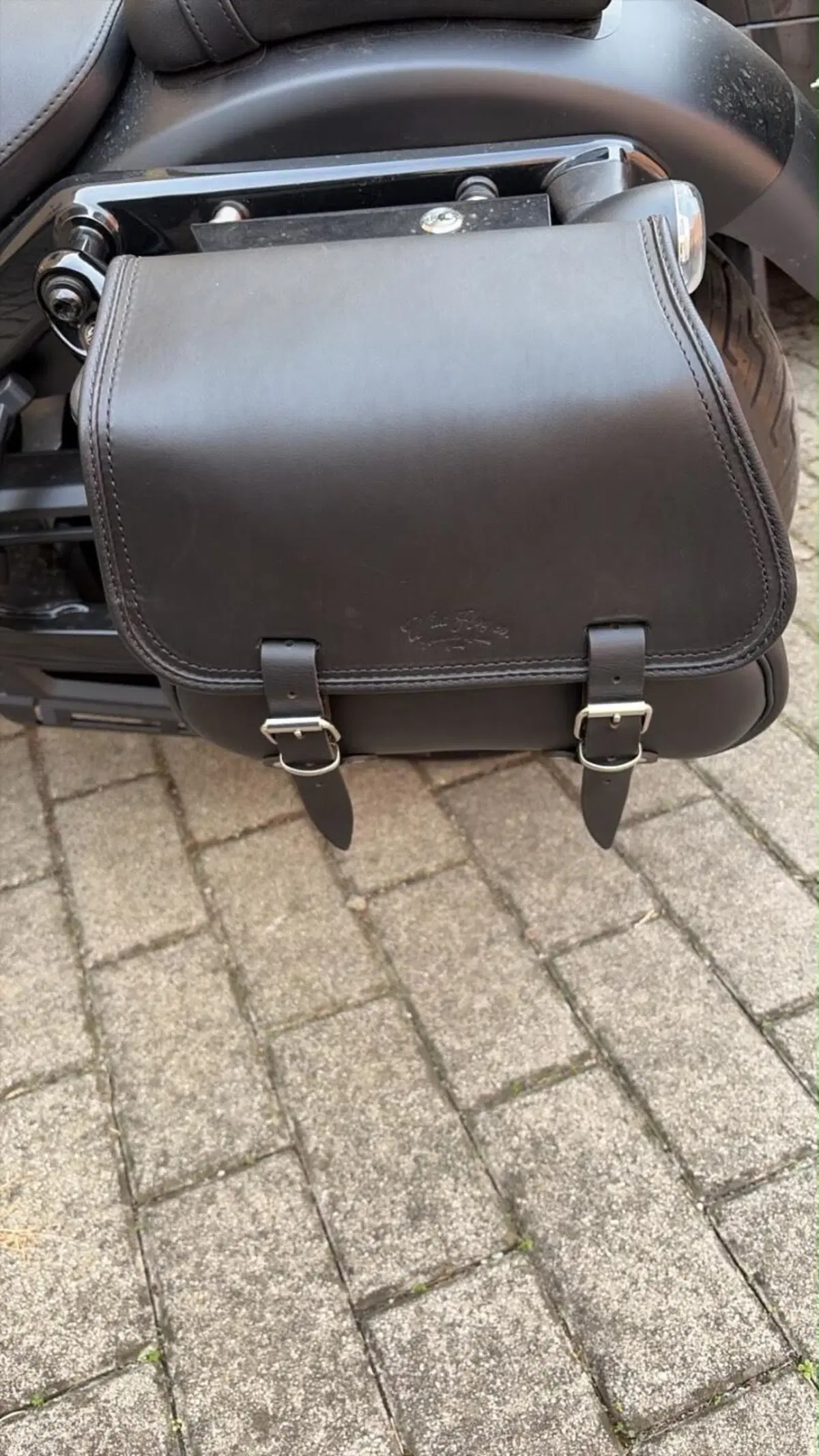 Harley-Davidson Nightster Special (2023 - 26) (6)