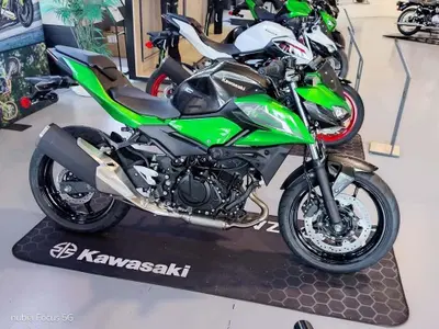 Kawasaki Z 500 (2024 - 26) nuova