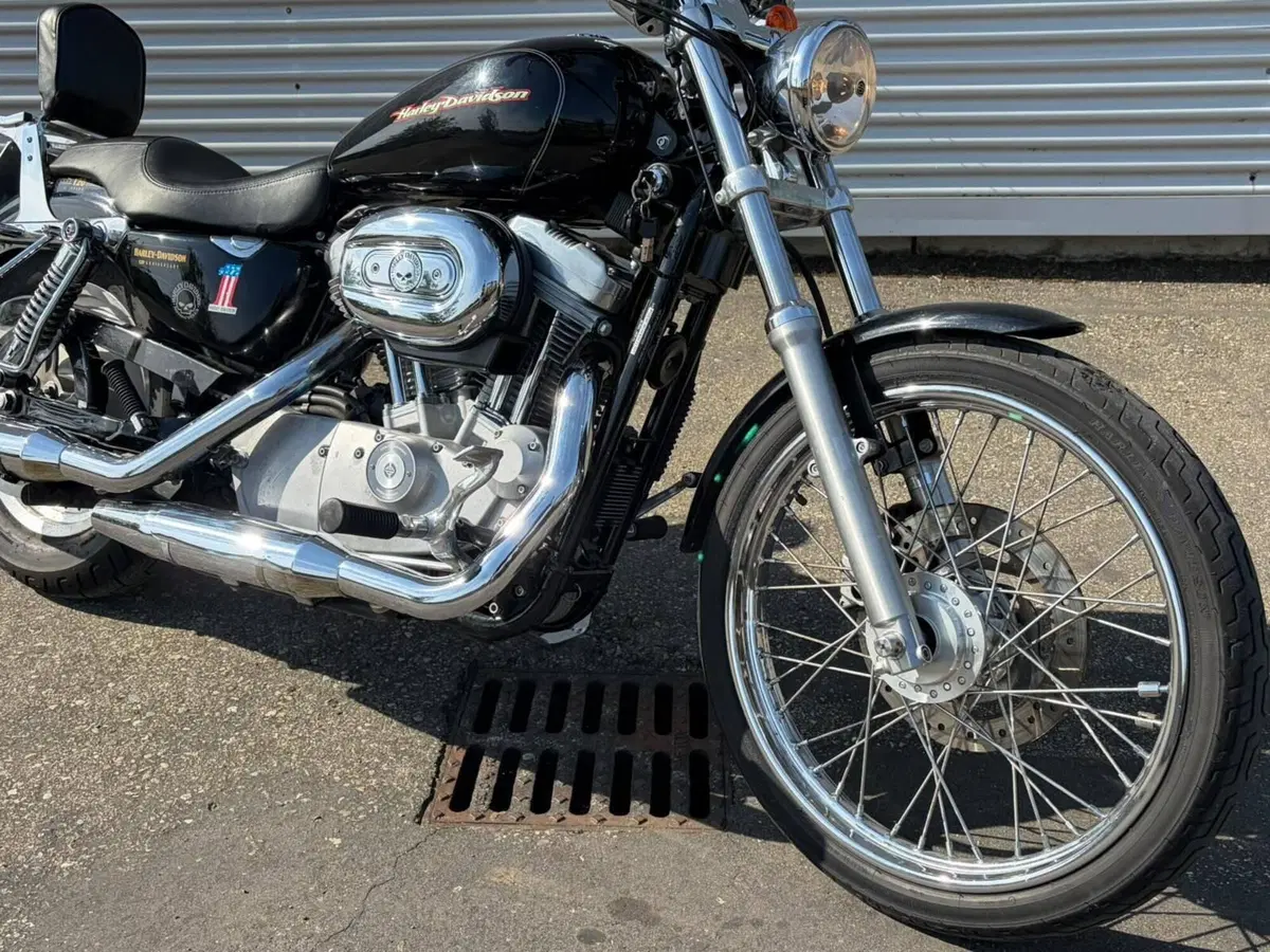 Harley-Davidson 883 Custom (2006 - 07) - XL 883C (3)