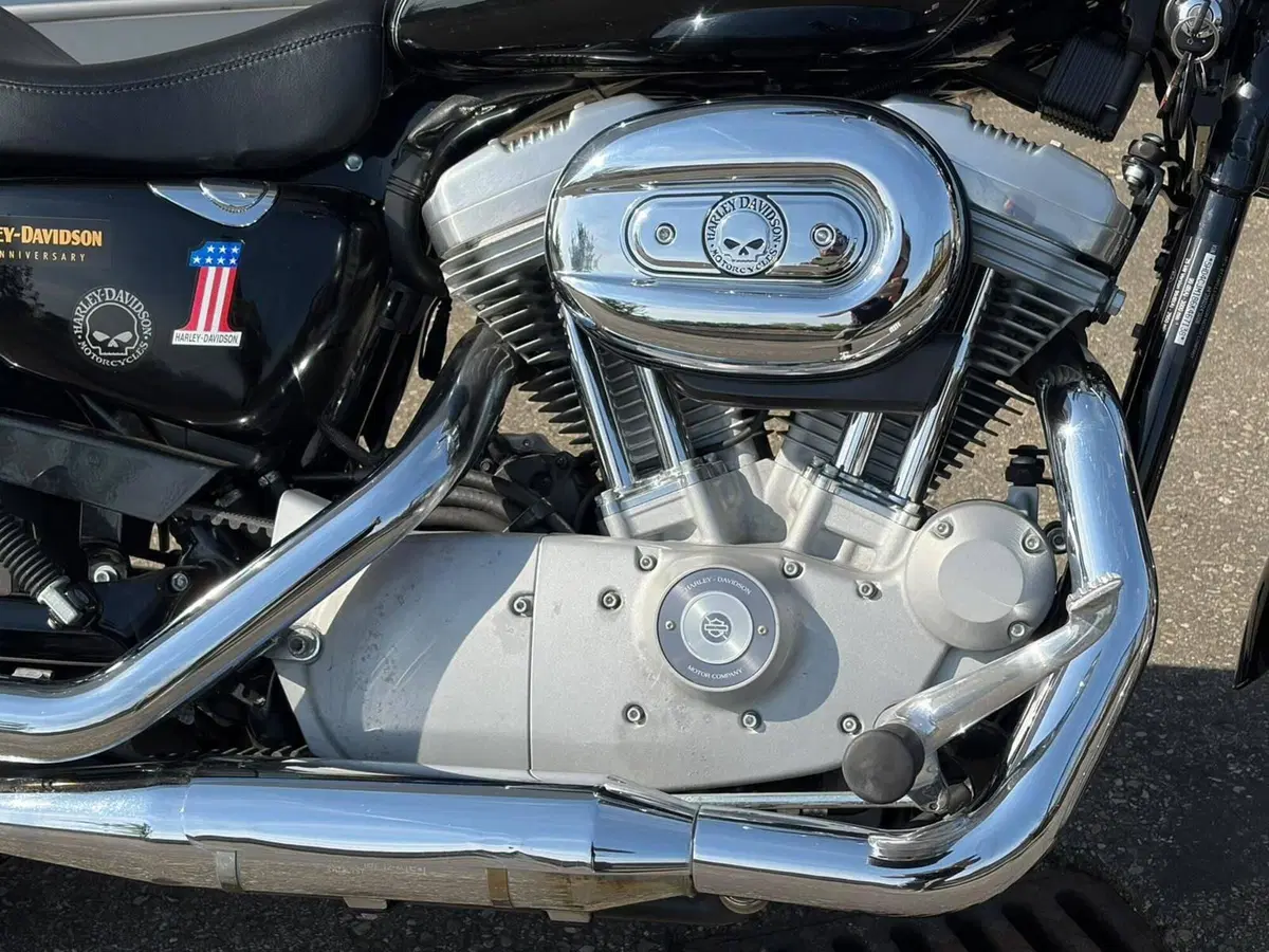 Harley-Davidson 883 Custom (2006 - 07) - XL 883C (4)