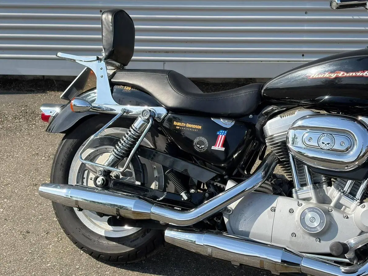 Harley-Davidson 883 Custom (2006 - 07) - XL 883C (5)