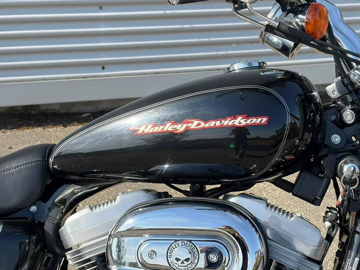 Harley-Davidson 883 Custom (2006 - 07) - XL 883C (6)