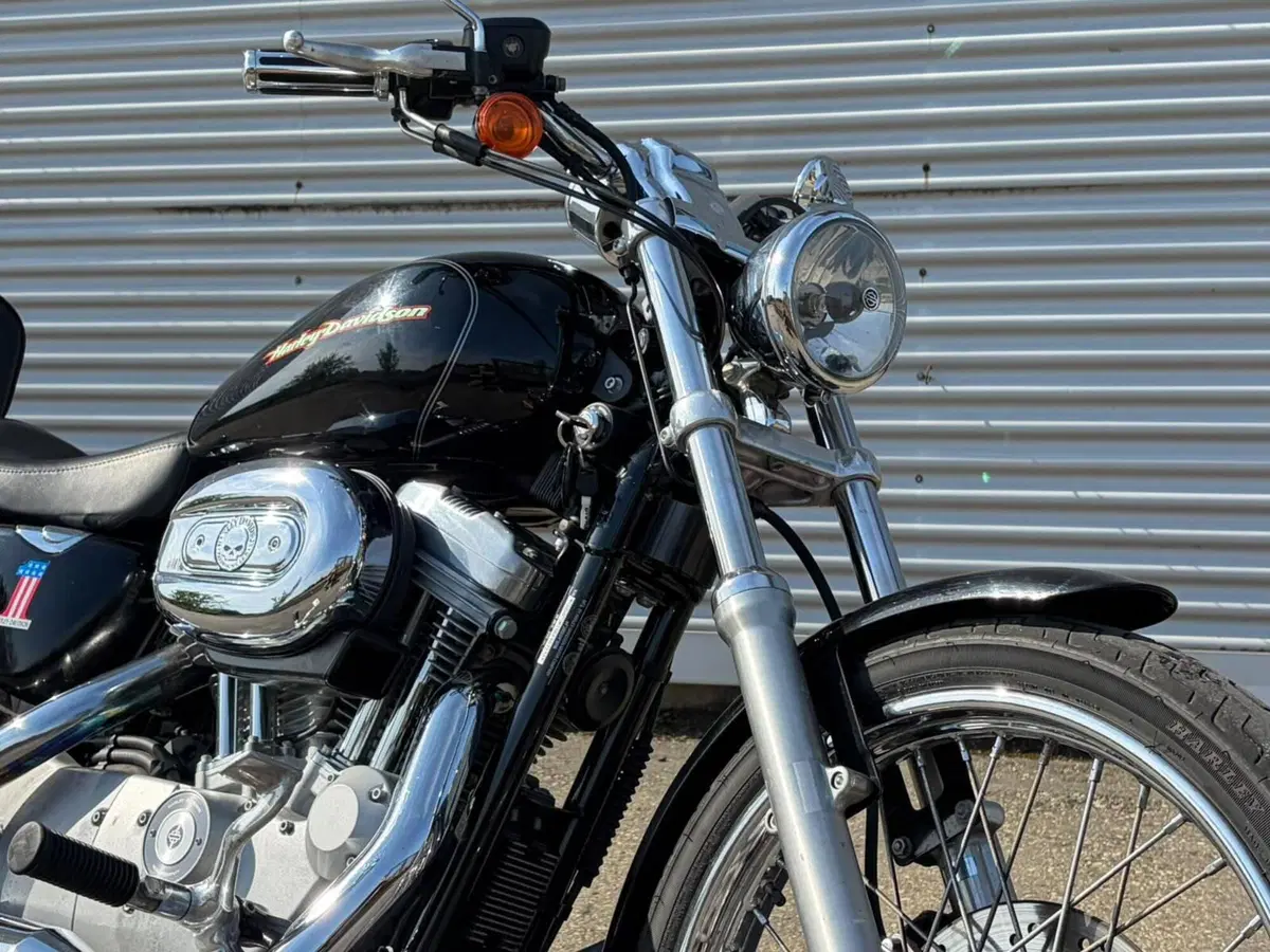 Harley-Davidson 883 Custom (2006 - 07) - XL 883C (7)