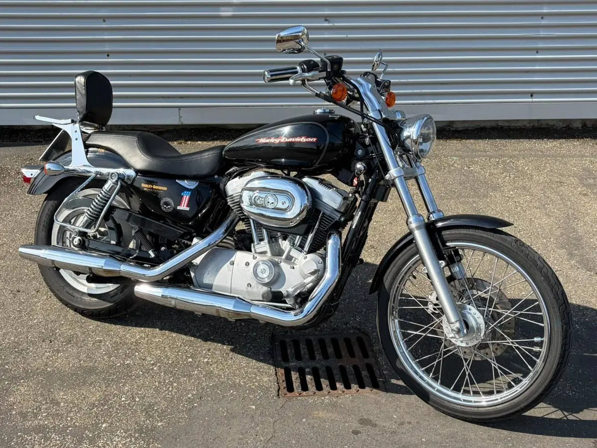 Harley-Davidson 883 Custom (2006 - 07) - XL 883C (13)