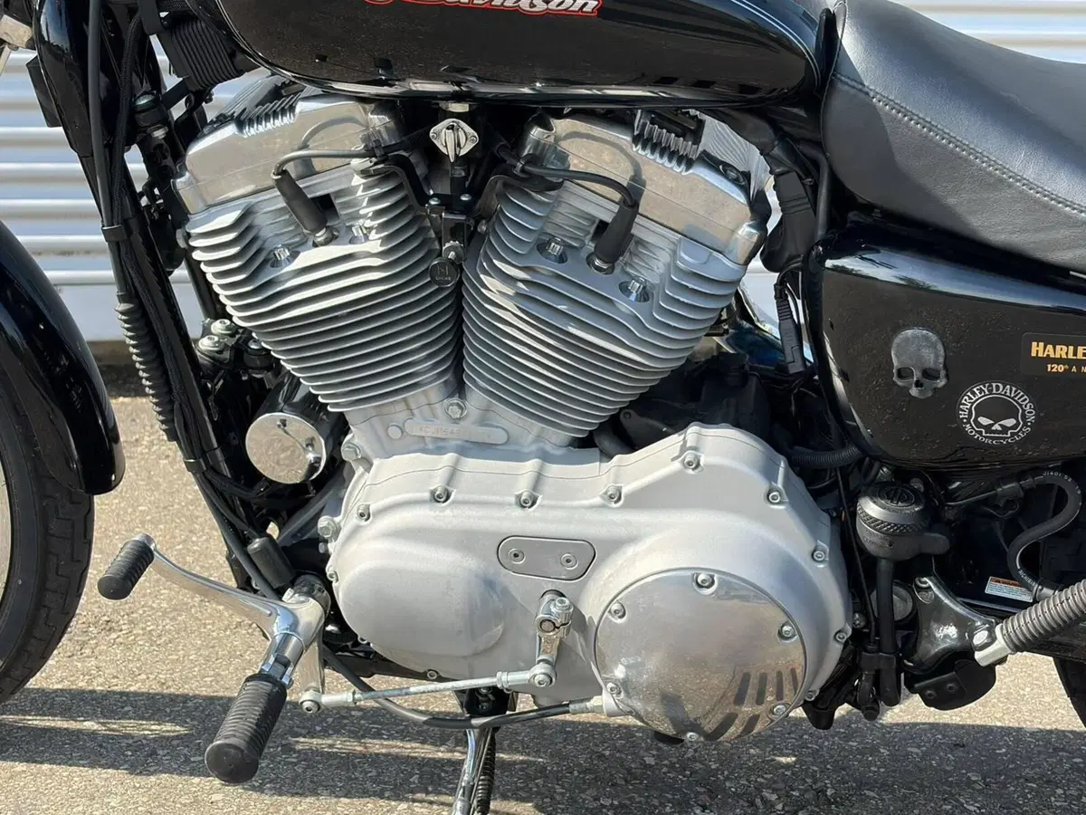 Harley-Davidson 883 Custom (2006 - 07) - XL 883C (9)