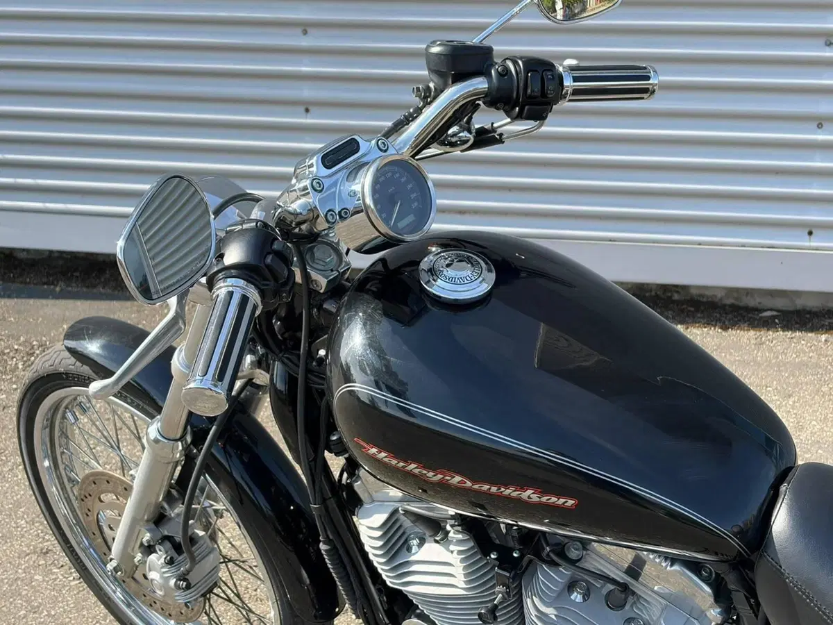 Harley-Davidson 883 Custom (2006 - 07) - XL 883C (11)