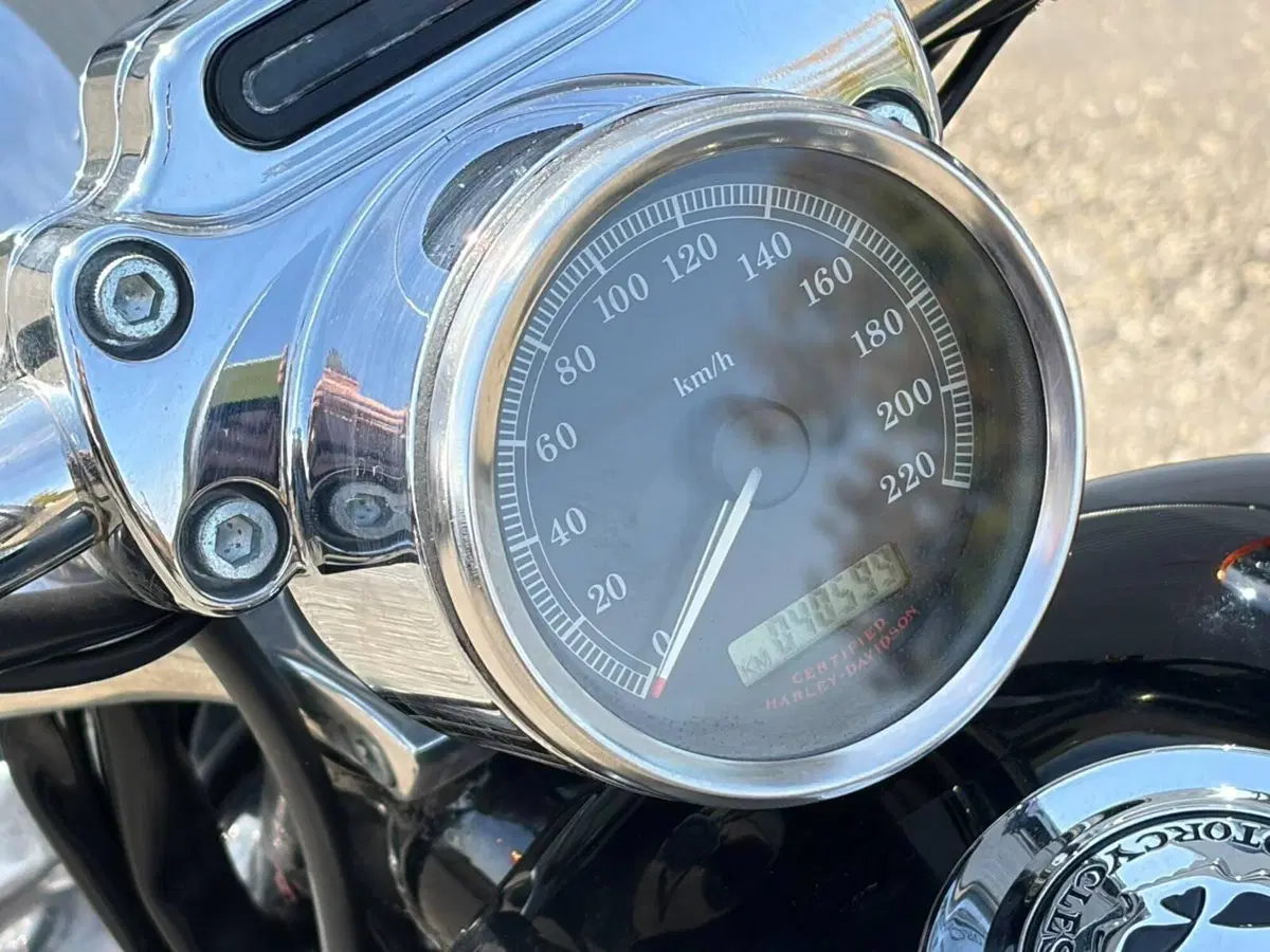 Harley-Davidson 883 Custom (2006 - 07) - XL 883C (12)