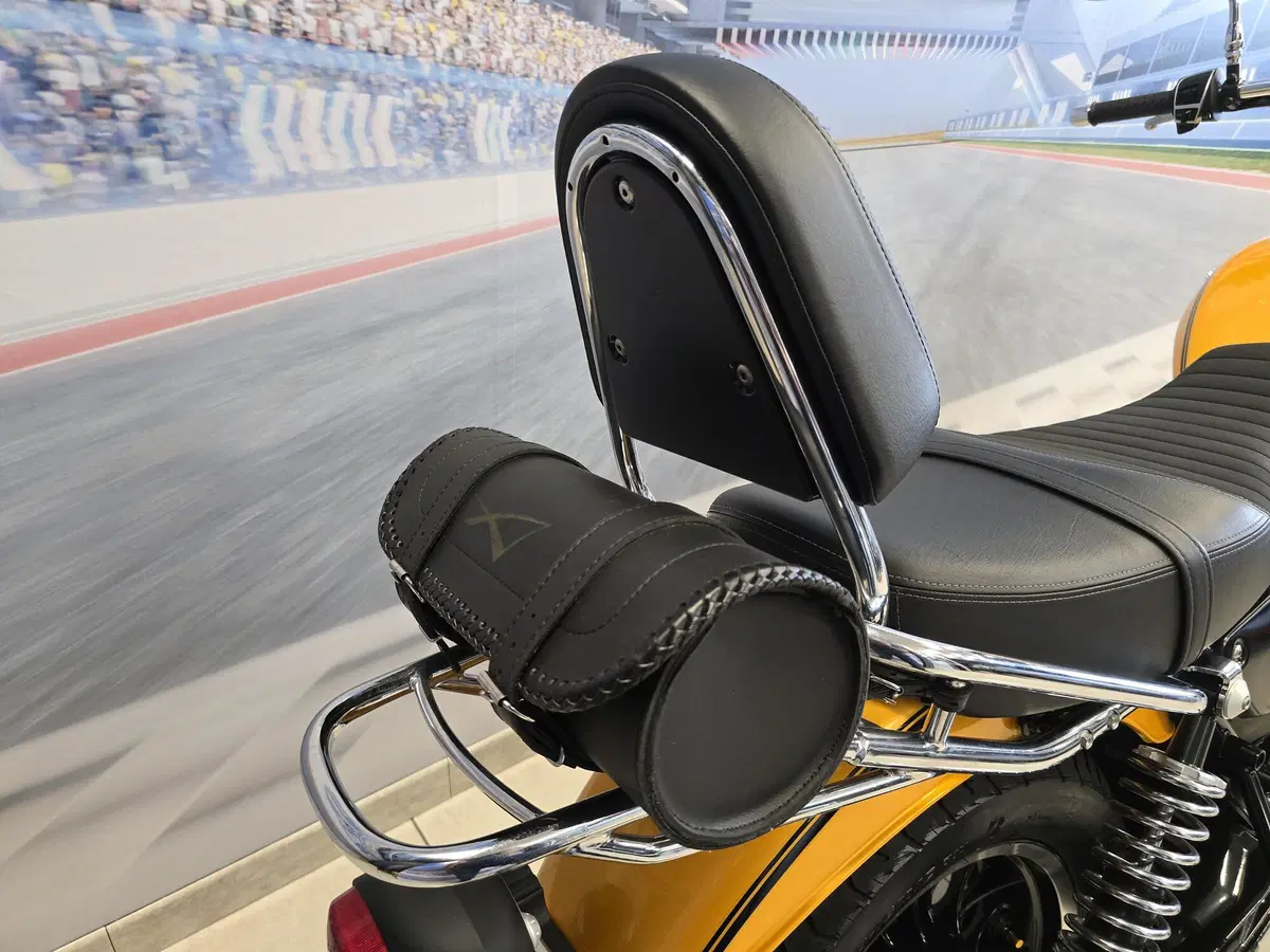 Moto Guzzi V9 Roamer (2016 - 18) (19)