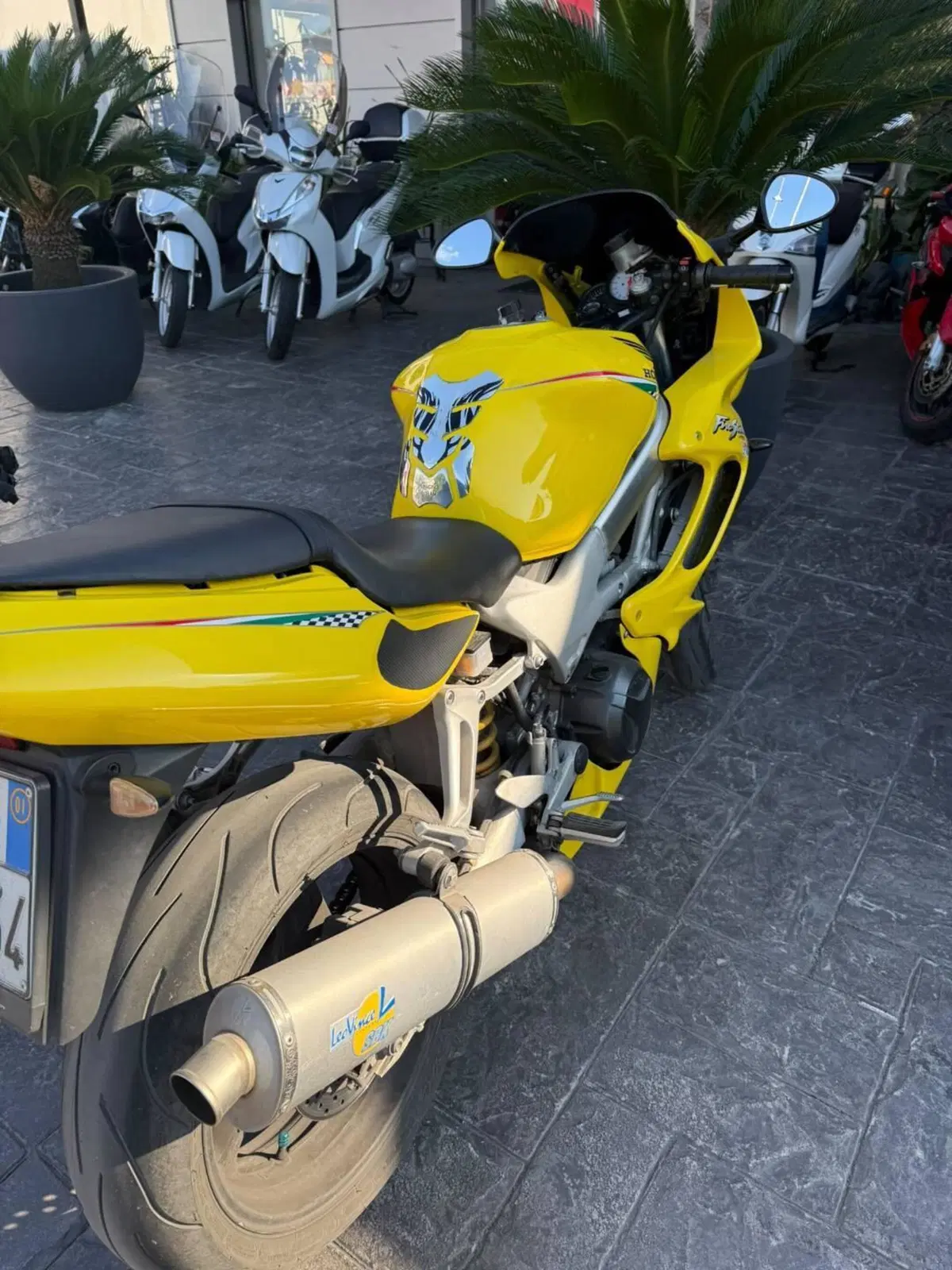 Honda VTR 1000 F Firestorm (2001 - 07) (7)