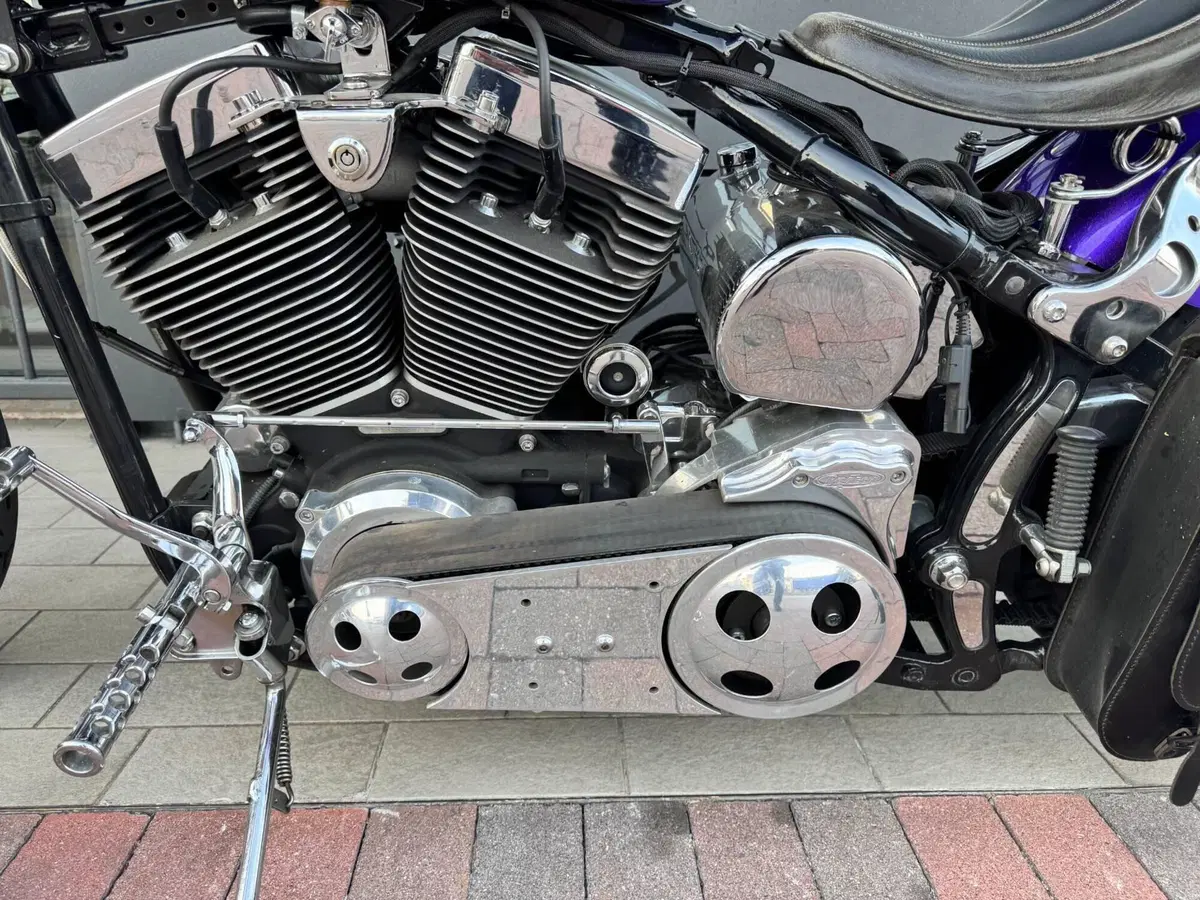 Harley-Davidson 1450 Springer (2002 - 04) - FXSTSI (5)