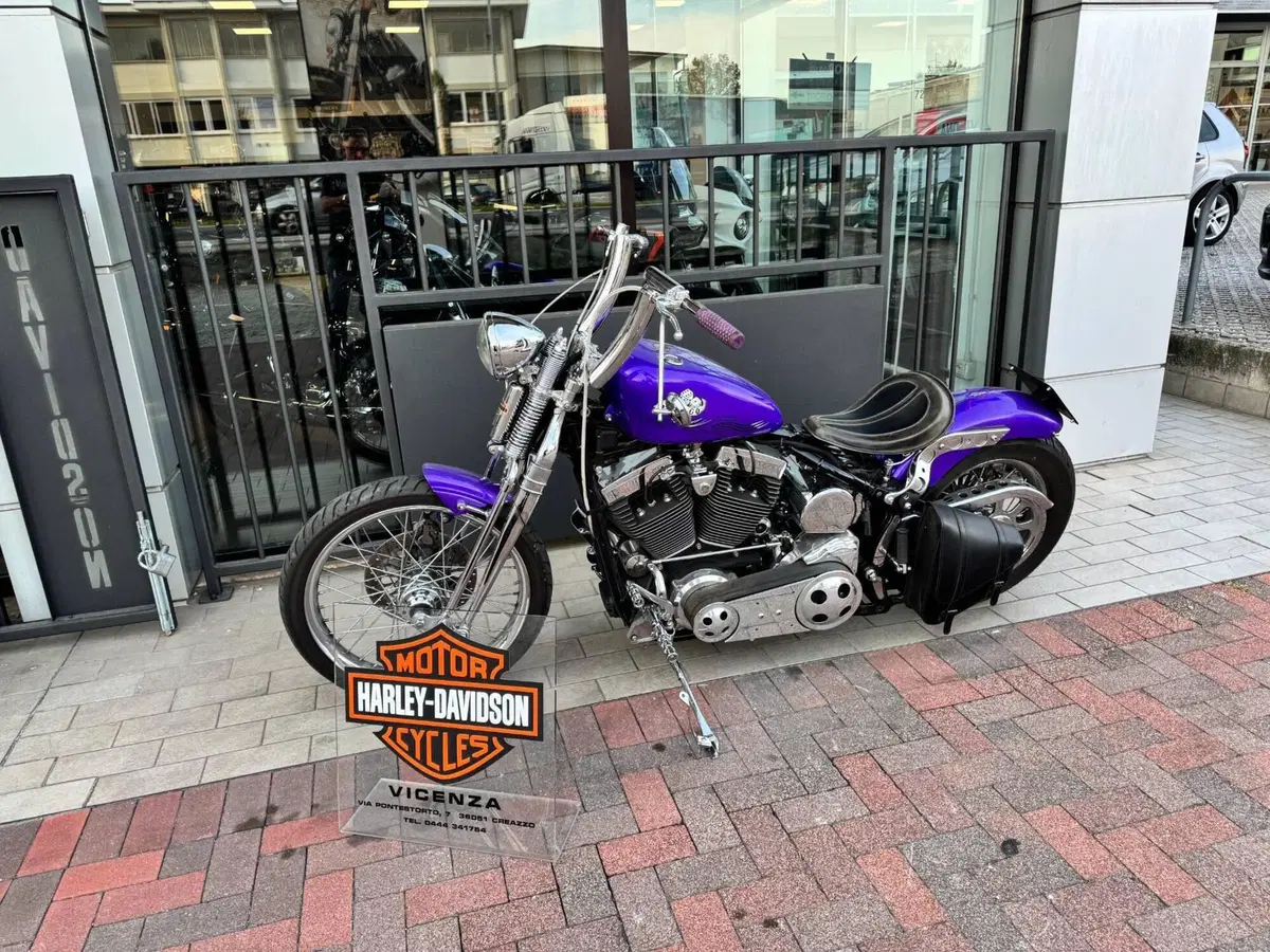 Harley-Davidson 1450 Springer (2002 - 04) - FXSTSI (2)