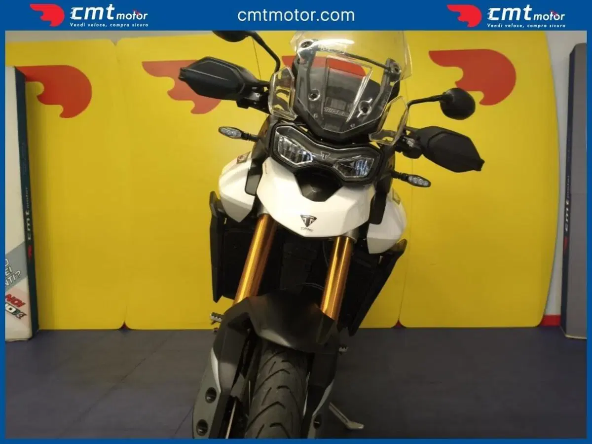 Triumph Tiger 900 Rally (2020 - 23) (3)