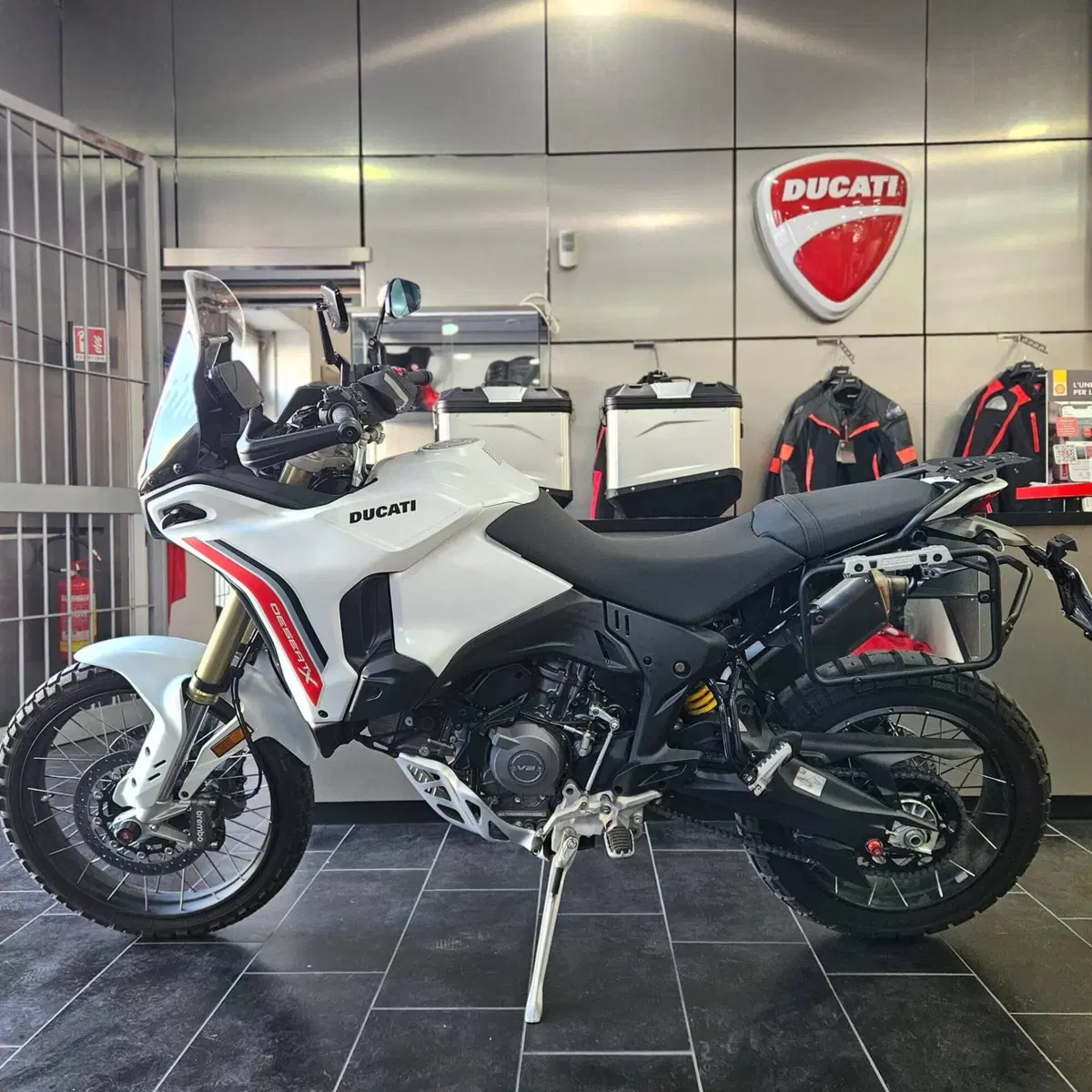 Ducati DesertX (2026) (2)