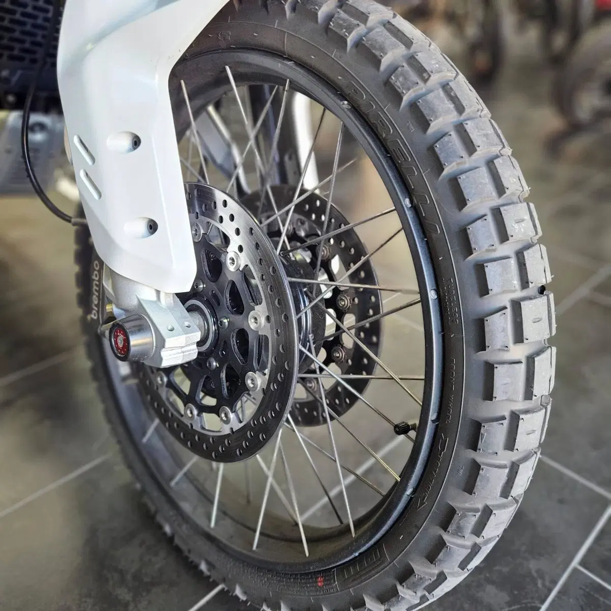 Ducati DesertX (2026) (5)