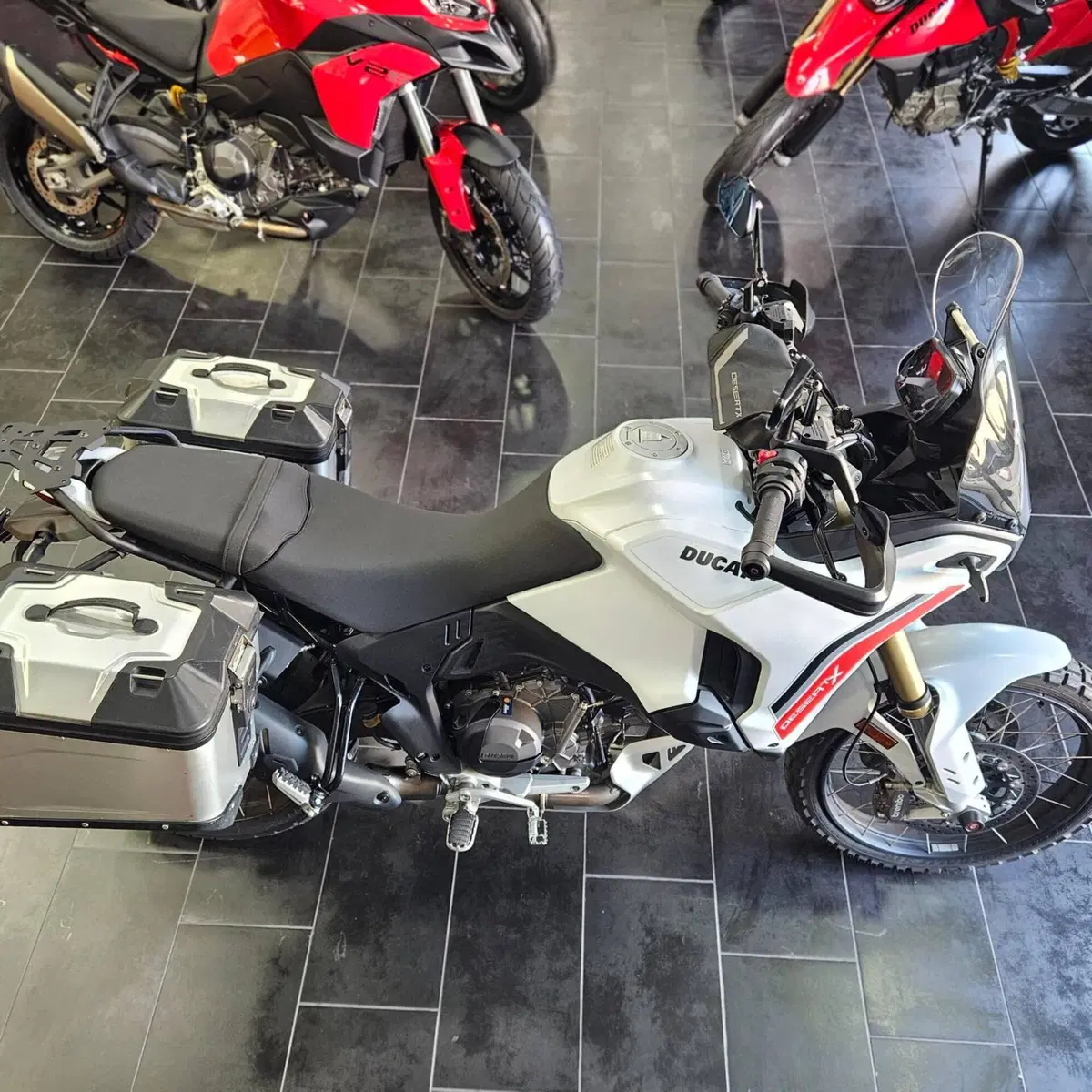 Ducati DesertX (2026) (10)