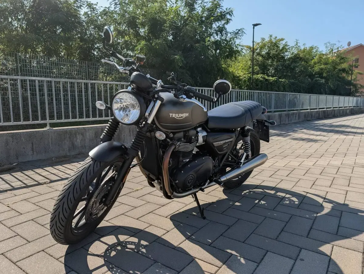 Triumph Speed Twin 900 (2023 - 24) (3)