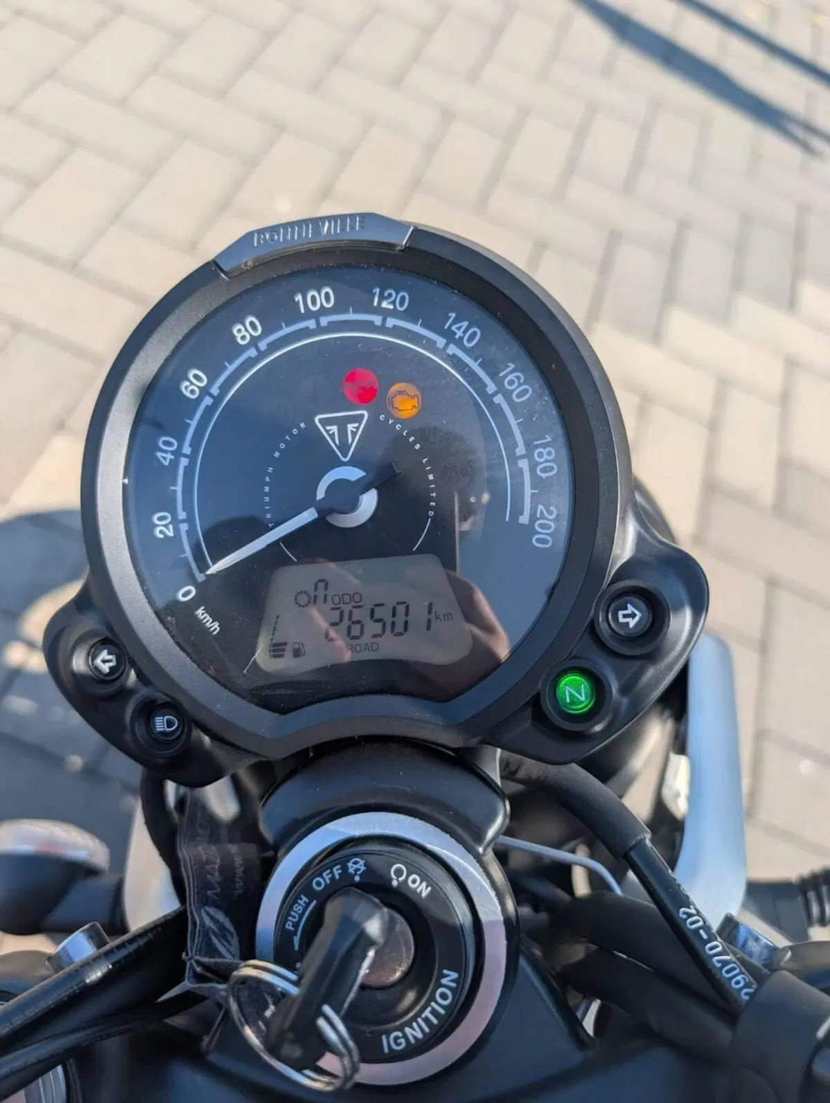 Triumph Speed Twin 900 (2023 - 24) (6)