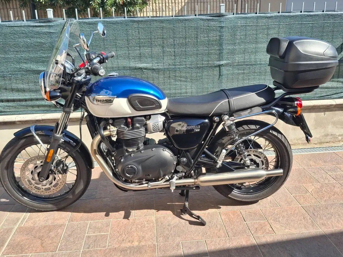 Triumph Bonneville T100 (2021 - 25) (7)
