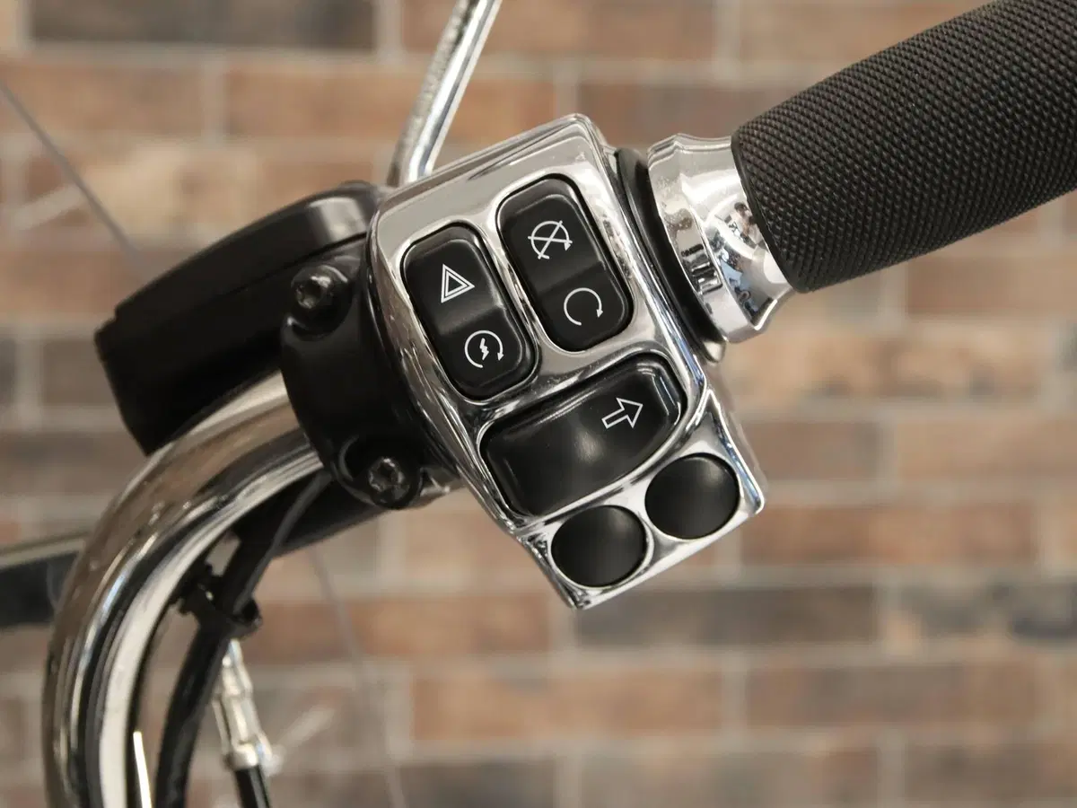 Harley-Davidson 107 Road King (2017) - FLHR (14)
