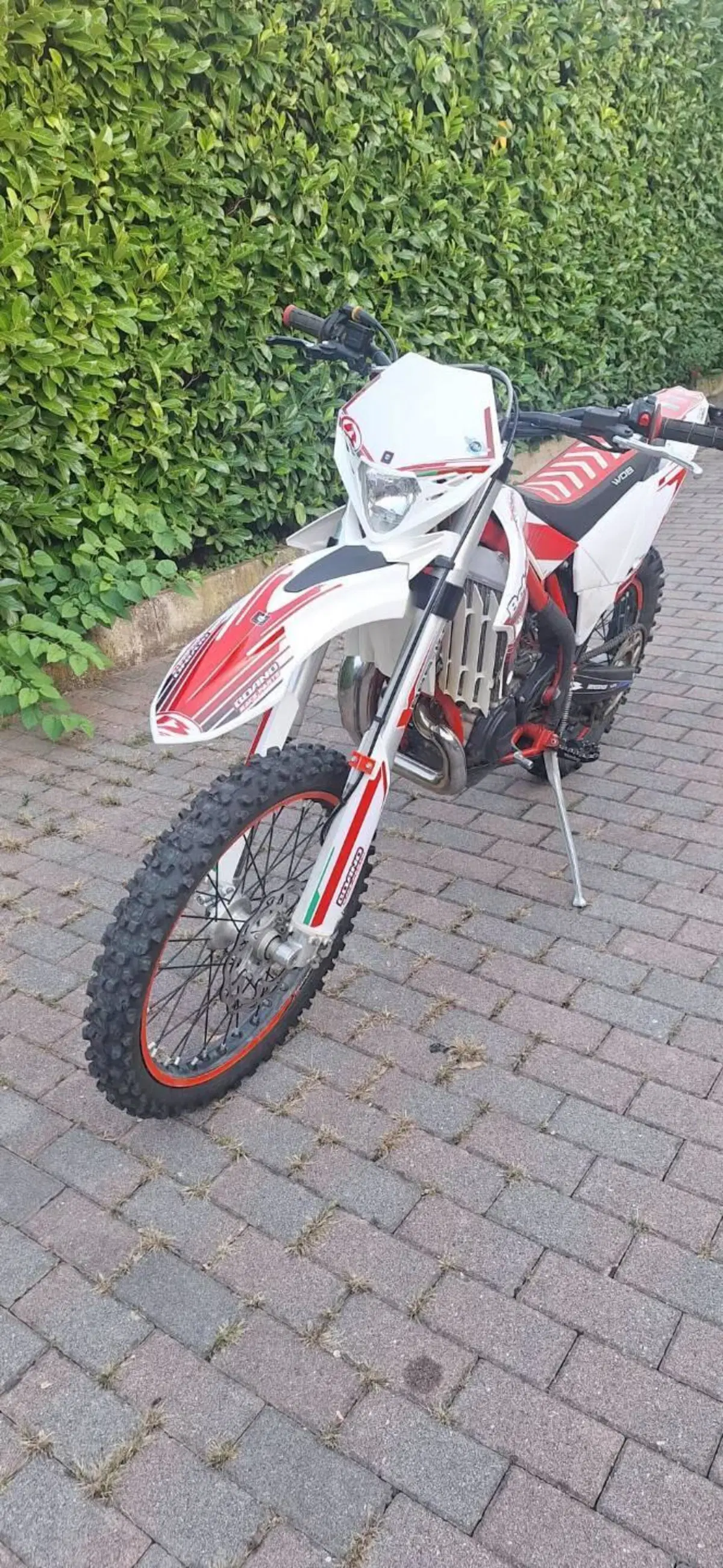 Betamotor Xtrainer 300 2t (2017) (3)