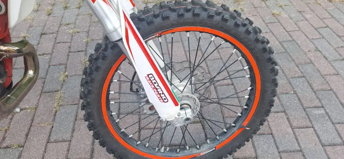 Betamotor Xtrainer 300 2t (2017) (6)