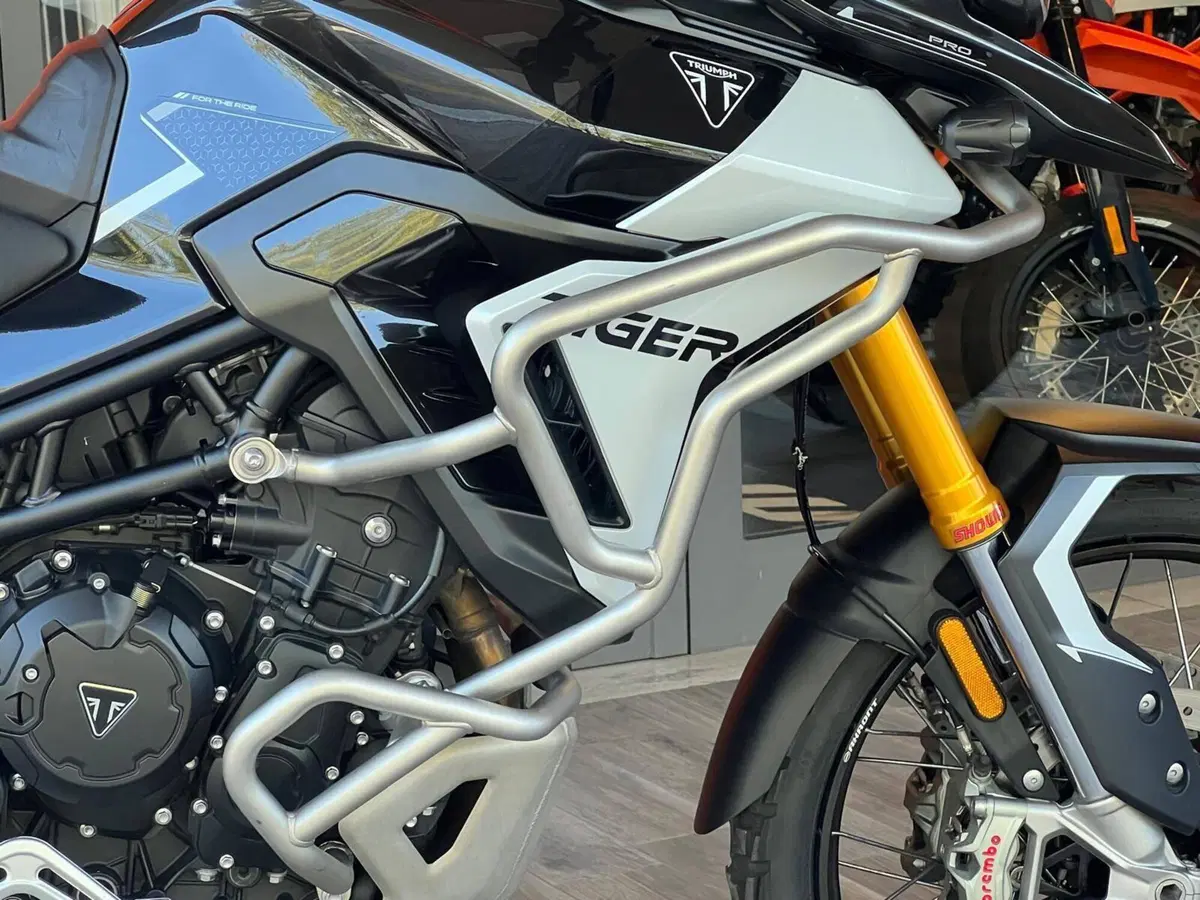 Triumph Tiger 900 Rally Pro (2024 - 26) (5)