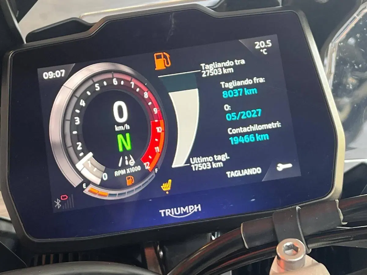Triumph Tiger 900 Rally Pro (2024 - 26) (3)