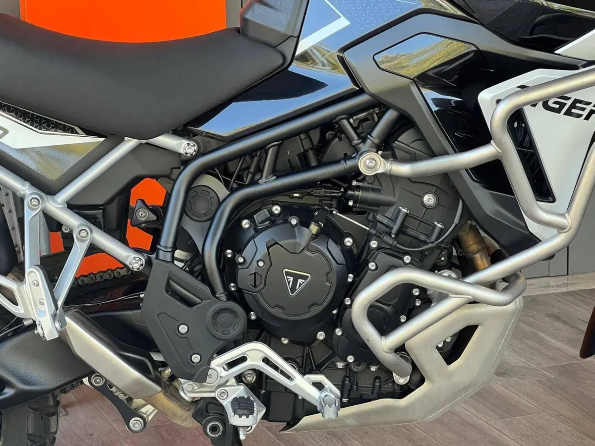 Triumph Tiger 900 Rally Pro (2024 - 26) (7)
