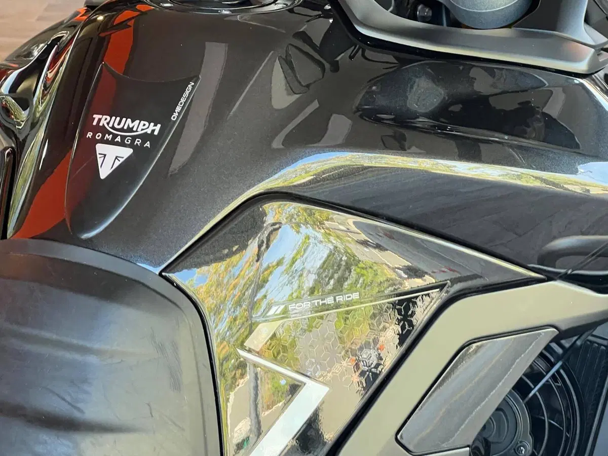 Triumph Tiger 900 Rally Pro (2024 - 26) (9)