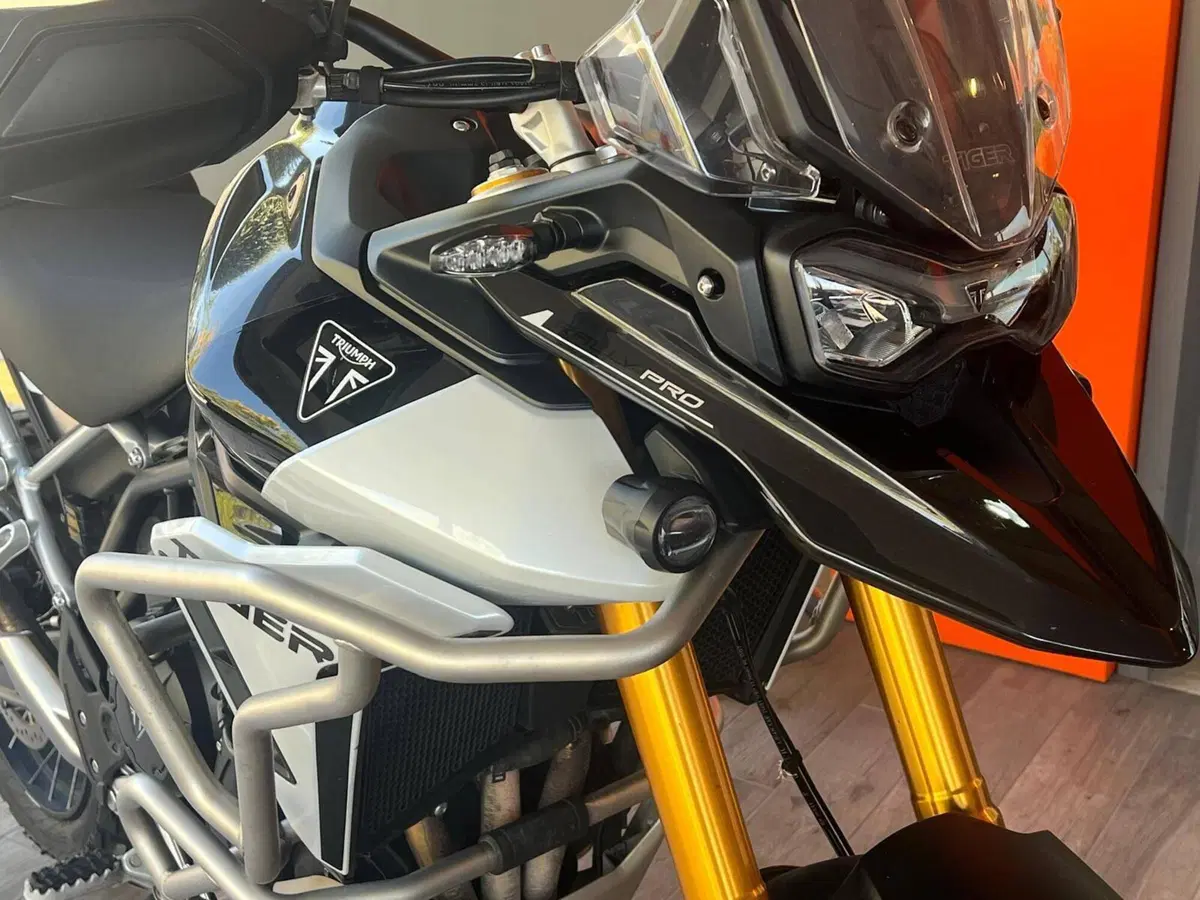 Triumph Tiger 900 Rally Pro (2024 - 26) (4)