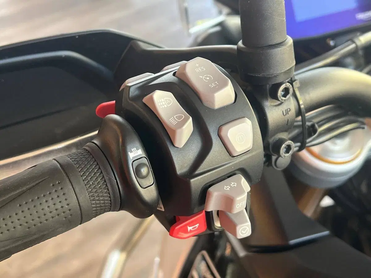 Triumph Tiger 900 Rally Pro (2024 - 26) (12)