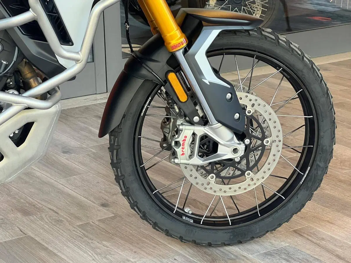 Triumph Tiger 900 Rally Pro (2024 - 26) (6)