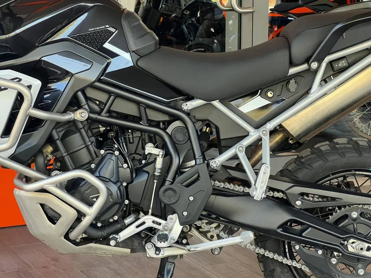 Triumph Tiger 900 Rally Pro (2024 - 26) (14)