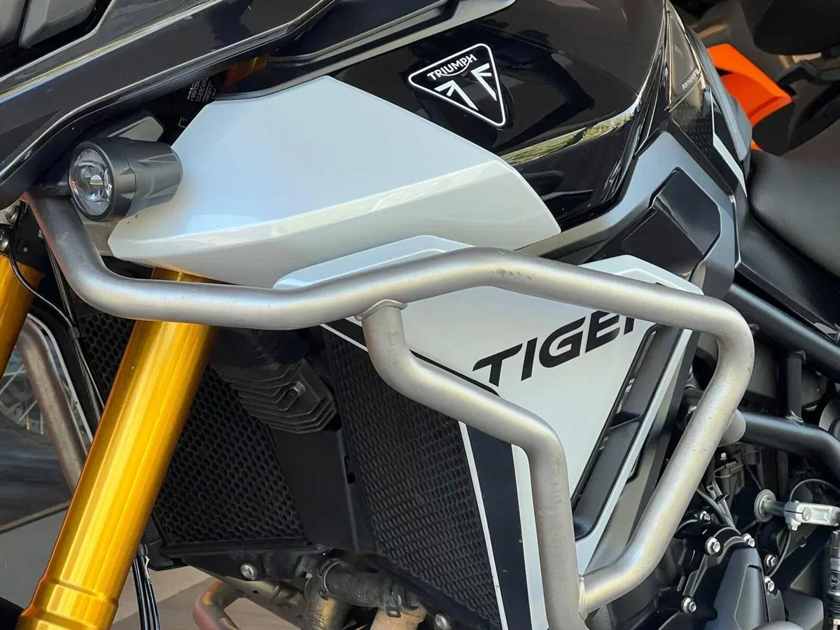 Triumph Tiger 900 Rally Pro (2024 - 26) (15)