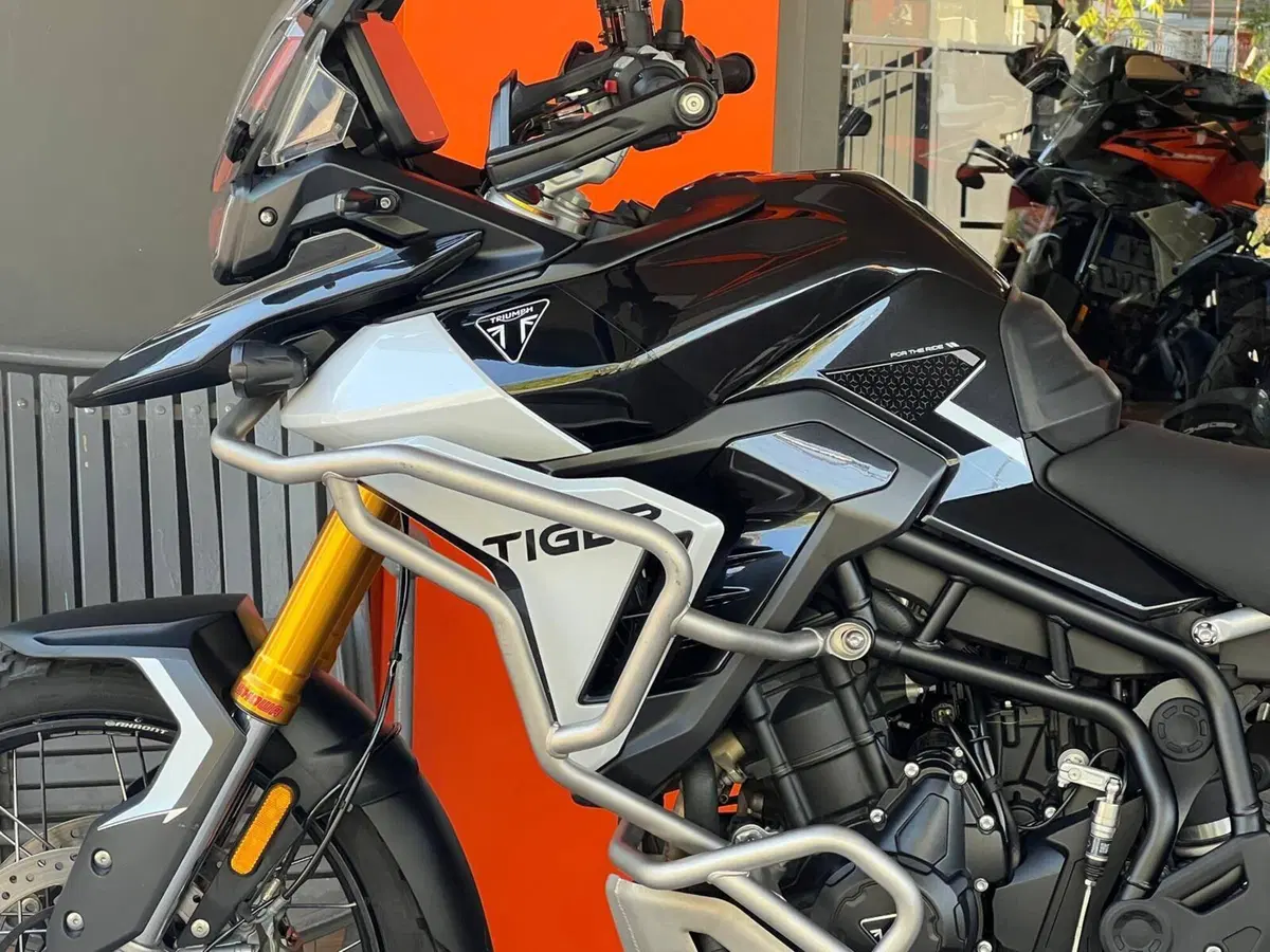 Triumph Tiger 900 Rally Pro (2024 - 26) (16)