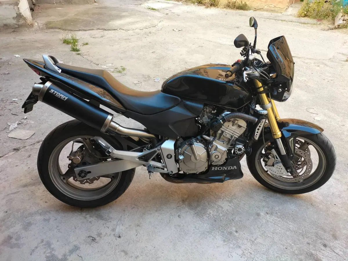 Honda CBF 600 (2004 - 06) (2)
