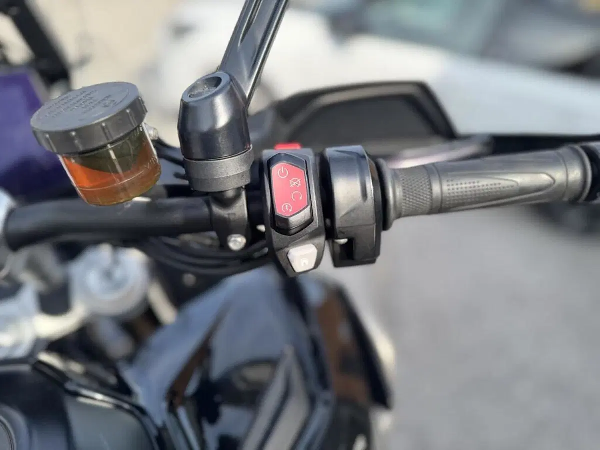 Triumph Tiger 1200 Rally Explorer (2022 - 23) (7)