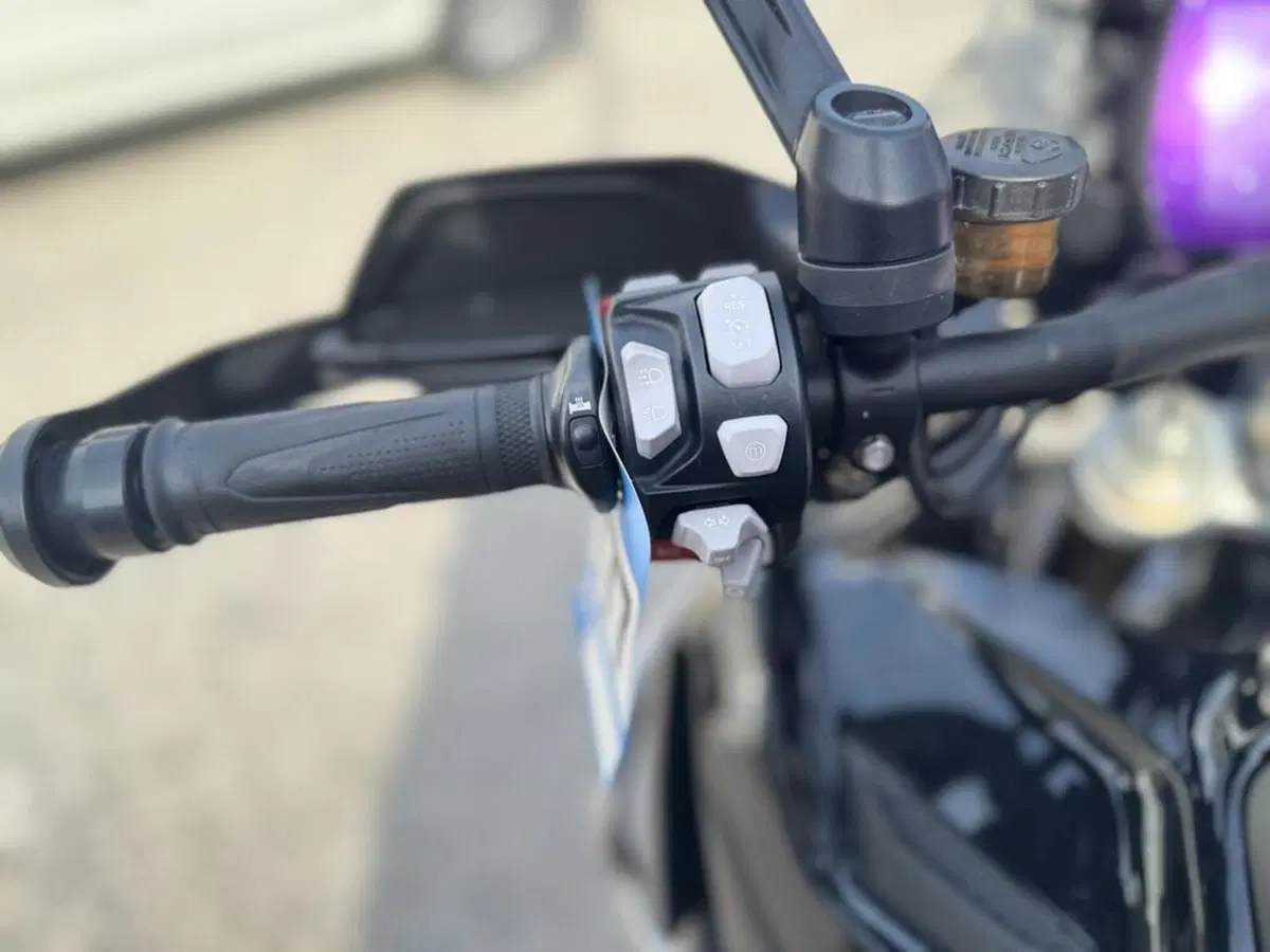 Triumph Tiger 1200 Rally Explorer (2022 - 23) (6)