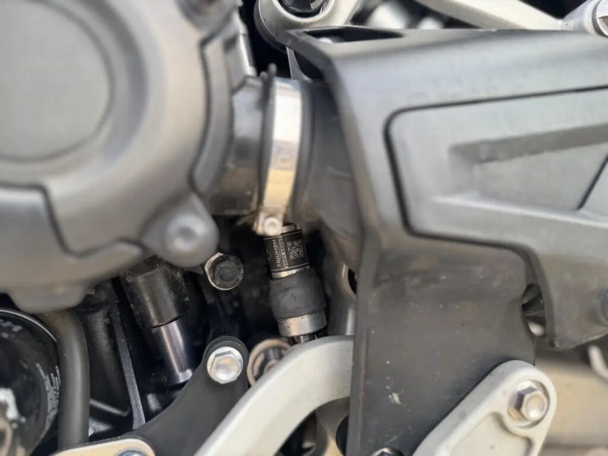 Triumph Tiger 1200 Rally Explorer (2022 - 23) (8)