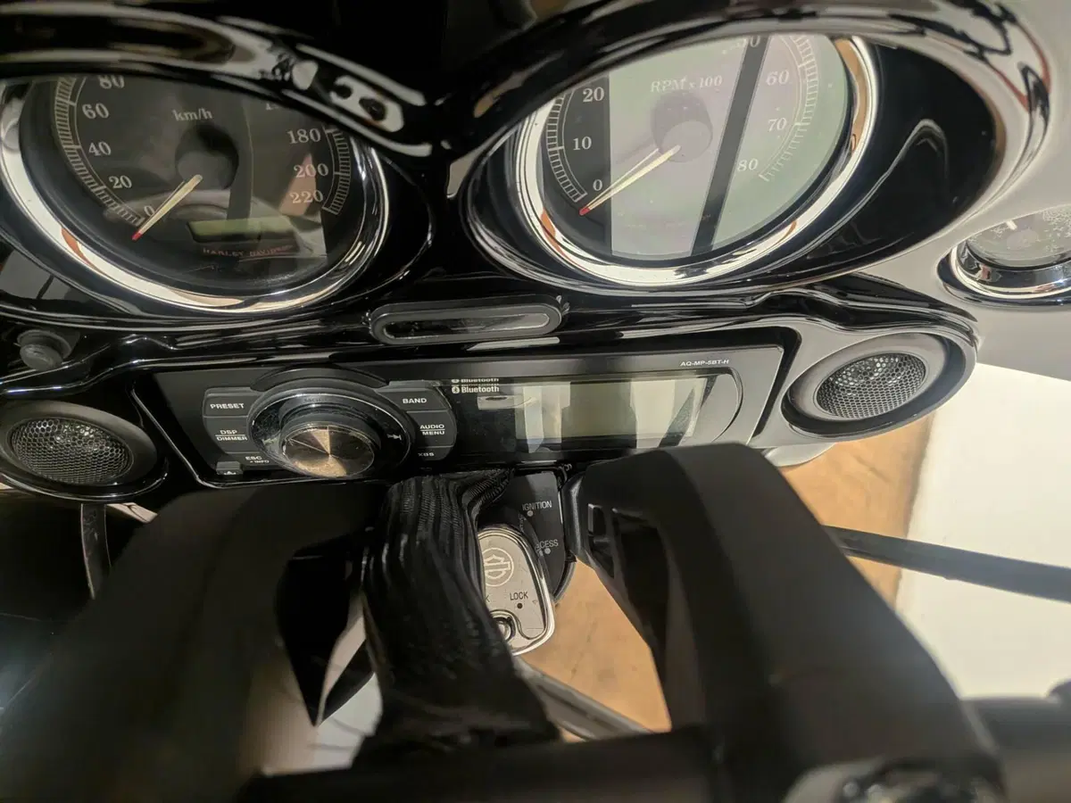 Harley-Davidson 1584 Electra Glide Standard (2008 - 10) - FLHT (13)