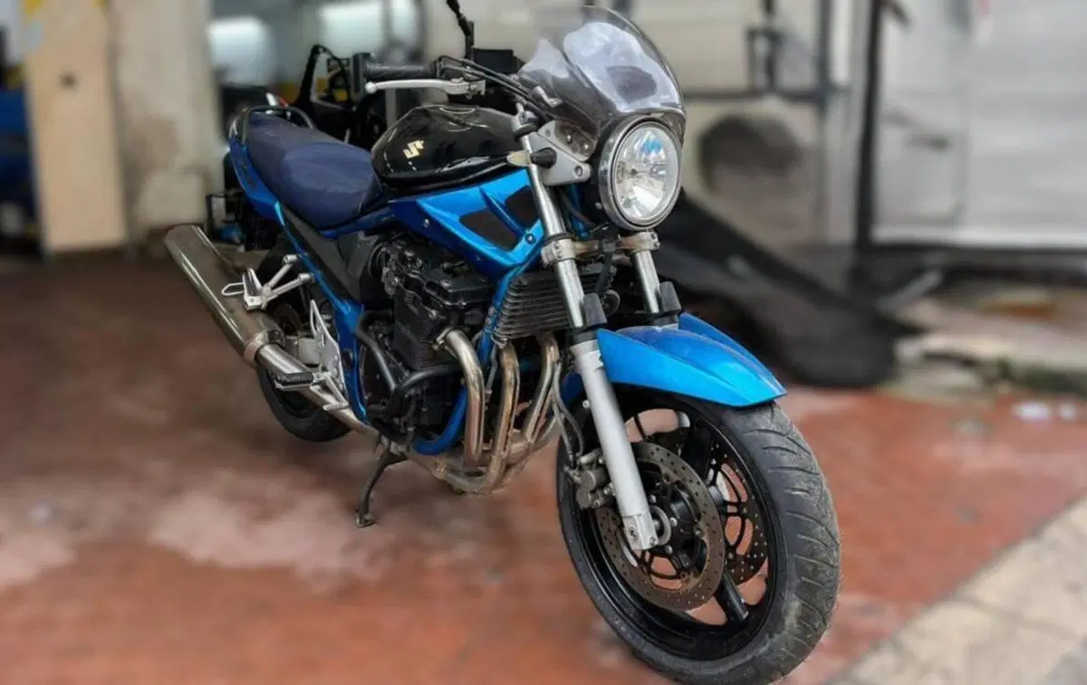 Suzuki GSF 650 Bandit (2006 - 11) (8)