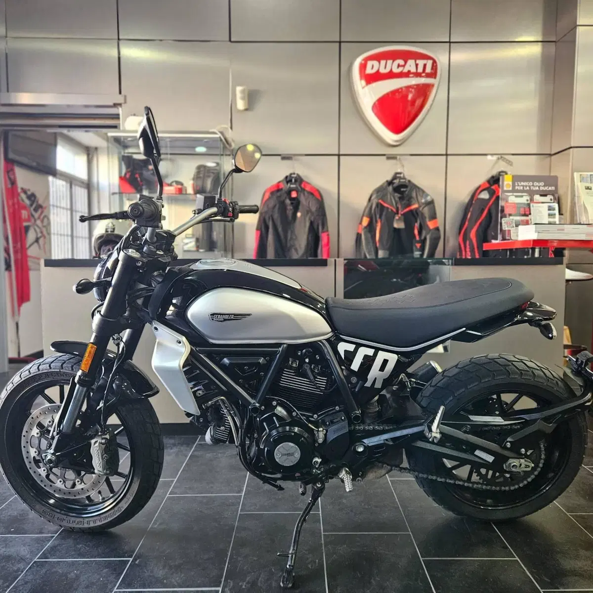 Ducati Scrambler 800 Icon (2023 - 24) (6)