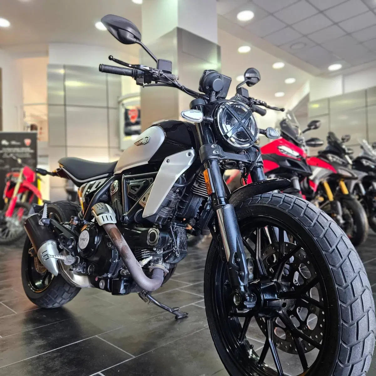 Ducati Scrambler 800 Icon (2023 - 24) (7)